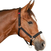 Waldhausen Sicherheitshalfter Schwarz Waldhausen Sicherheitshalfter Schwarz