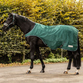 Waldhausen Führanlagendecke 100g Fir Green Waldhausen Führanlagendecke 100g Fir Green