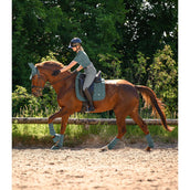 Waldhausen Schabracke Breath Performance Dressur Pine Green Waldhausen Schabracke Breath Performance Dressur Pine Green