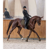 Waldhausen Gamaschen Comfort Fit Grün/Braun Waldhausen Gamaschen Comfort Fit Grün/Braun