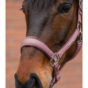 Waldhausen Halfterset Velvet Dusky Pink Waldhausen Halfterset Velvet Dusky Pink