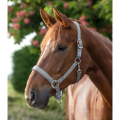 Waldhausen Halfter Satin Chrome Grey Waldhausen Halfter Satin Chrome Grey