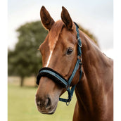 Waldhausen Halfter Elegant Petrol Blue Waldhausen Halfter Elegant Petrol Blue