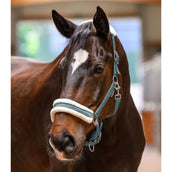 Waldhausen Halfter Elegant Pine Green Waldhausen Halfter Elegant Pine Green