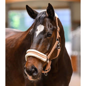 Waldhausen Halfter Elegant Pfirsichfarben Waldhausen Halfter Elegant Pfirsichfarben