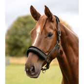 Waldhausen Halfter Elegant Grün/Braun Waldhausen Halfter Elegant Grün/Braun