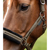 Waldhausen Halfter Elegant Grün/Braun Waldhausen Halfter Elegant Grün/Braun