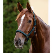 Waldhausen Halfter Athletic Petrol Blue Waldhausen Halfter Athletic Petrol Blue