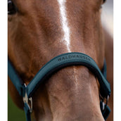 Waldhausen Halfter Athletic Petrol Blue Waldhausen Halfter Athletic Petrol Blue