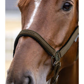 Waldhausen Halfter Athletic Grün/Braun Waldhausen Halfter Athletic Grün/Braun