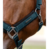 Waldhausen Halfter Soft Touch Petrol Blue Waldhausen Halfter Soft Touch Petrol Blue