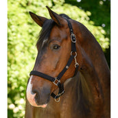 Waldhausen Halfter Trinidad Schwarz Waldhausen Halfter Trinidad Schwarz