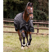 Waldhausen Outdoordecke Scandic Multi-Layer 50/150g Schwarz Waldhausen Outdoordecke Scandic Multi-Layer 50/150g Schwarz