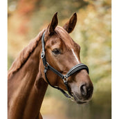 Waldhausen Halfter S-Line Glamour Schwarz Waldhausen Halfter S-Line Glamour Schwarz