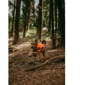 WeatherBeeta Dog Coat Reflektierend Parka 300D Orange WeatherBeeta Dog Coat Reflektierend Parka 300D Orange