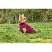 WeatherBeeta Hundedecke ComFiTec Fleece Zip Burgund/Navy WeatherBeeta Hundedecke ComFiTec Fleece Zip Burgund/Navy