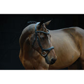 Collegiate Zaum ComFiTec Vogue Anatomisch Schwarz Collegiate Zaum ComFiTec Vogue Anatomisch Schwarz