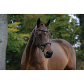 Collegiate Zaum ComFiTec Vogue Anatomisch Schwarz Collegiate Zaum ComFiTec Vogue Anatomisch Schwarz