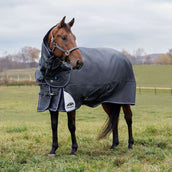 WeatherBeeta ComFiTec Ultra Turnout Detach-A-Neck 360g Kohle WeatherBeeta ComFiTec Ultra Turnout Detach-A-Neck 360g Kohle