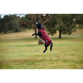 WeatherBeeta Hundedecke ComFiTec Premier Deluxe Waterproof Burgund/Navy WeatherBeeta Hundedecke ComFiTec Premier Deluxe Waterproof Burgund/Navy