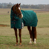 WeatherBeeta ComFiTec Plus Dynamic Turnout Detach-A-Neck 360g Forest Green/Navy WeatherBeeta ComFiTec Plus Dynamic Turnout Detach-A-Neck 360g Forest Green/Navy