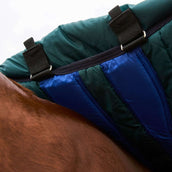 WeatherBeeta ComFiTec Plus Dynamic Turnout Detach-A-Neck 360g Forest Green/Navy WeatherBeeta ComFiTec Plus Dynamic Turnout Detach-A-Neck 360g Forest Green/Navy
