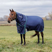 WeatherBeeta ComFiTec Plus Dynamic Turnout Detach-A-Neck 360g Navy/Forest Green WeatherBeeta ComFiTec Plus Dynamic Turnout Detach-A-Neck 360g Navy/Forest Green