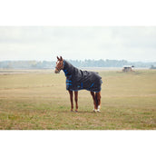 WeatherBeeta ComFiTec Tyro Turnout Combo Neck 220g Schwarz/Kobalt WeatherBeeta ComFiTec Tyro Turnout Combo Neck 220g Schwarz/Kobalt