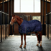WeatherBeeta Stalldecke ComFiTec PP Channel Quilt Detach-A-Neck 220g Navy/Kohle WeatherBeeta Stalldecke ComFiTec PP Channel Quilt Detach-A-Neck 220g Navy/Kohle