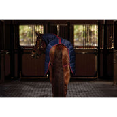 WeatherBeeta Stalldecke ComFiTec 210D Channel Quilt Combo Neck 100g Navy/Burgundy WeatherBeeta Stalldecke ComFiTec 210D Channel Quilt Combo Neck 100g Navy/Burgundy