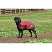 WeatherBeeta Hundedecke ComFiTec Classic Waterproof Burgunderrot WeatherBeeta Hundedecke ComFiTec Classic Waterproof Burgunderrot