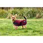 WeatherBeeta Hundedecke ComFiTec Classic Waterproof Burgunderrot WeatherBeeta Hundedecke ComFiTec Classic Waterproof Burgunderrot
