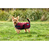 WeatherBeeta Hundedecke ComFiTec Classic Waterproof Burgunderrot WeatherBeeta Hundedecke ComFiTec Classic Waterproof Burgunderrot