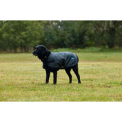 WeatherBeeta Hundedecke ComFiTec Classic Waterproof Kohle WeatherBeeta Hundedecke ComFiTec Classic Waterproof Kohle