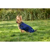 WeatherBeeta Hundedecke ComFiTec Classic Waterproof Navy WeatherBeeta Hundedecke ComFiTec Classic Waterproof Navy