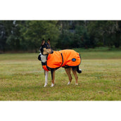 WeatherBeeta Hundedecke ComFiTec Reflective 300D Deluxe Showerproof Orange WeatherBeeta Hundedecke ComFiTec Reflective 300D Deluxe Showerproof Orange