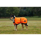 WeatherBeeta Hundedecke ComFiTec Reflective 300D Deluxe Showerproof Orange WeatherBeeta Hundedecke ComFiTec Reflective 300D Deluxe Showerproof Orange