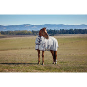 WeatherBeeta Fliegendecke ComFiTec Airflow Detach-A-Neck Grey/Navy/Burgundy WeatherBeeta Fliegendecke ComFiTec Airflow Detach-A-Neck Grey/Navy/Burgundy