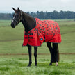 Rodeo Print