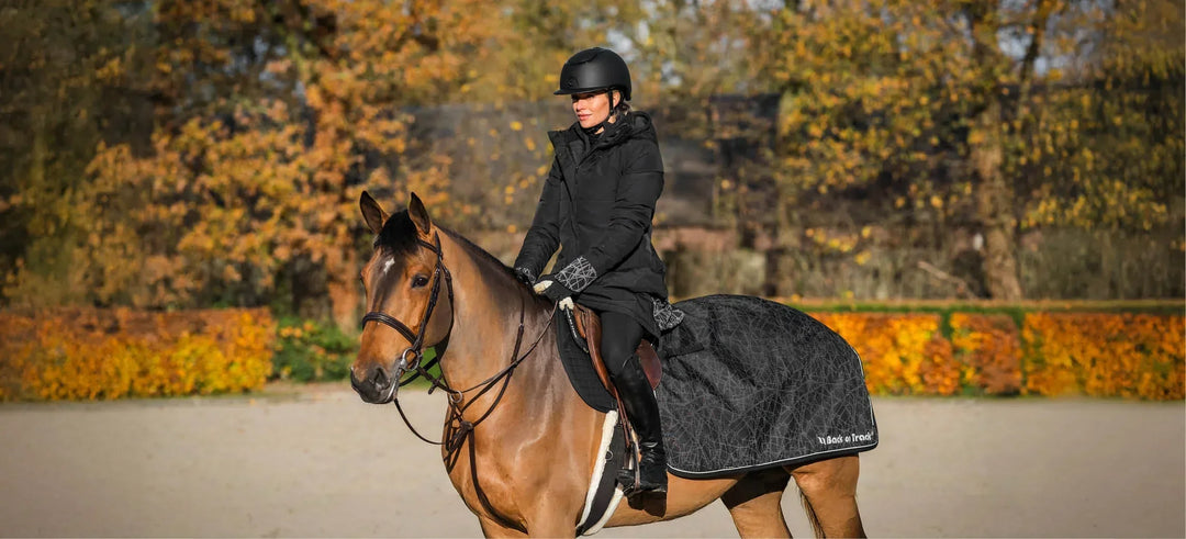 Back on Track Outtrakk: gemeinsam durch den Winter