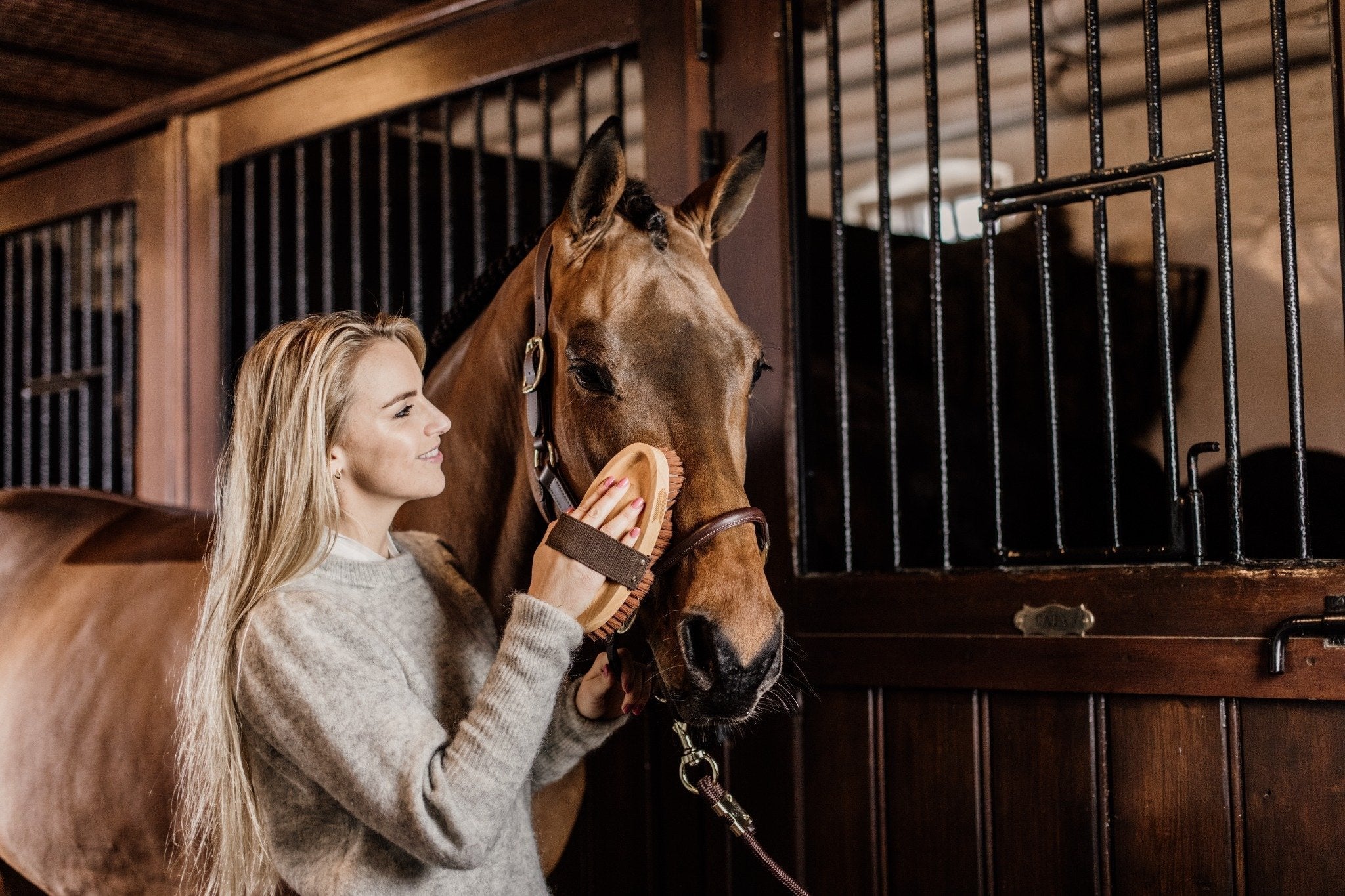 Grooming Deluxe: funktional und elegant
