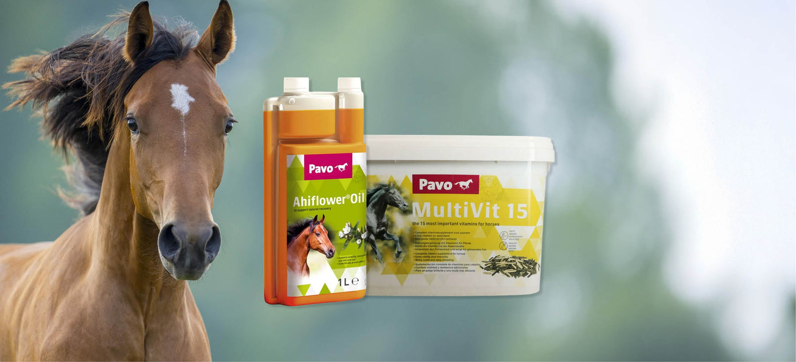 Unterstütze dein Pferd während des Fellwechsels