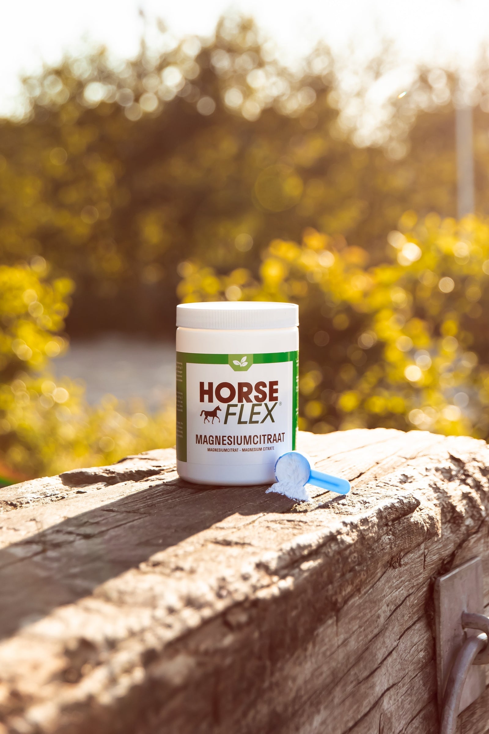 Die Bedeutung von Magnesium für dein Pferd