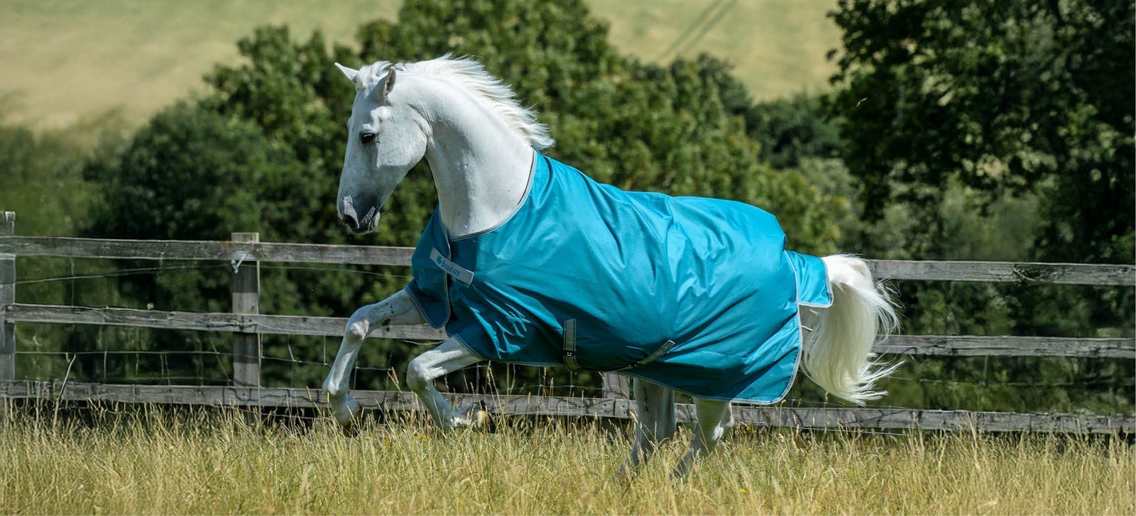 Wie pflegst du eine Pferdedecke am besten?