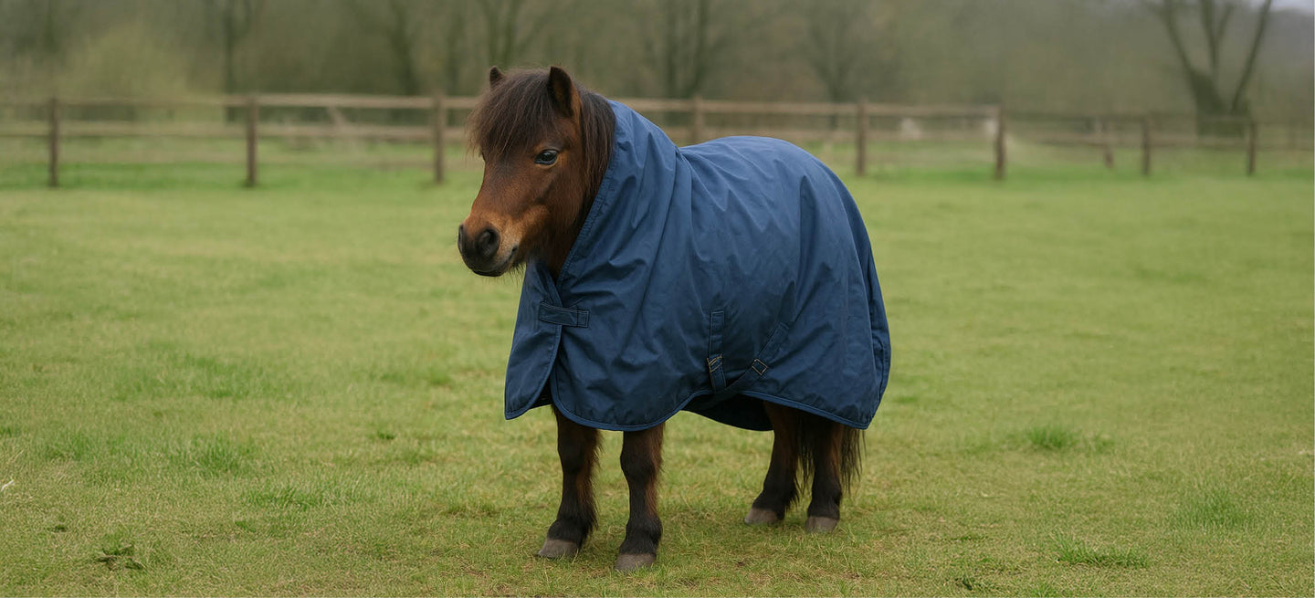 Wie findest du die richtige Deckengröße für dein Pferd?