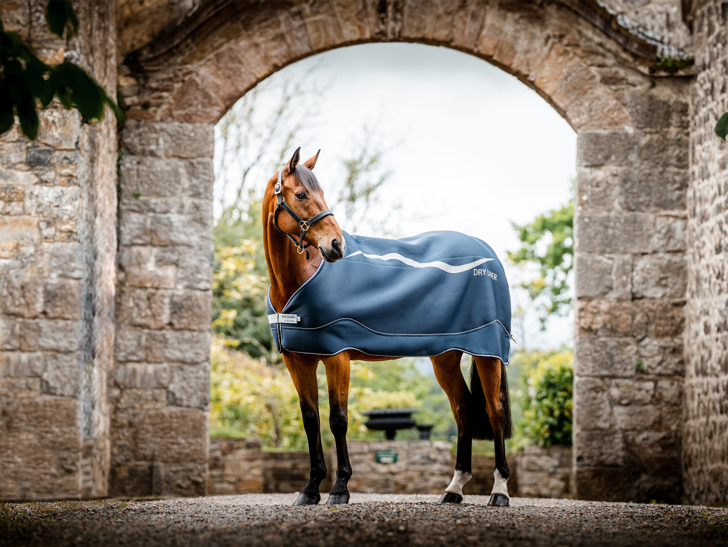 Alle Ins und Outs über den Horseware Dry Liner!