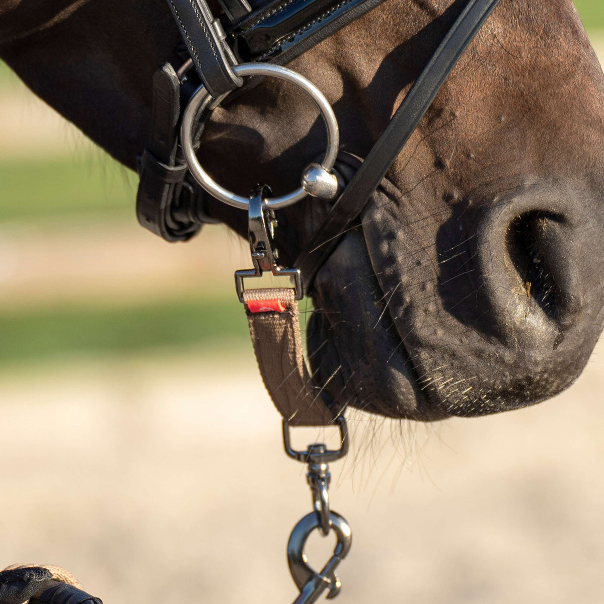Imperial Riding Longiergebissstück IRH Cappuccino