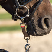 Imperial Riding Longiergebissstück IRH Cappuccino