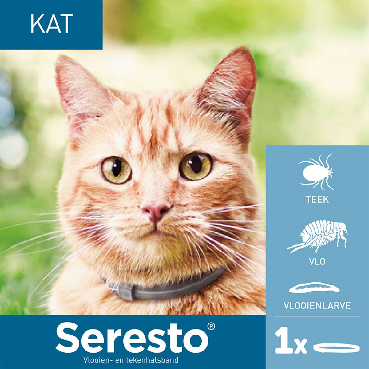 Seresto Zecken & Flohhalsband Katze bis 8kg