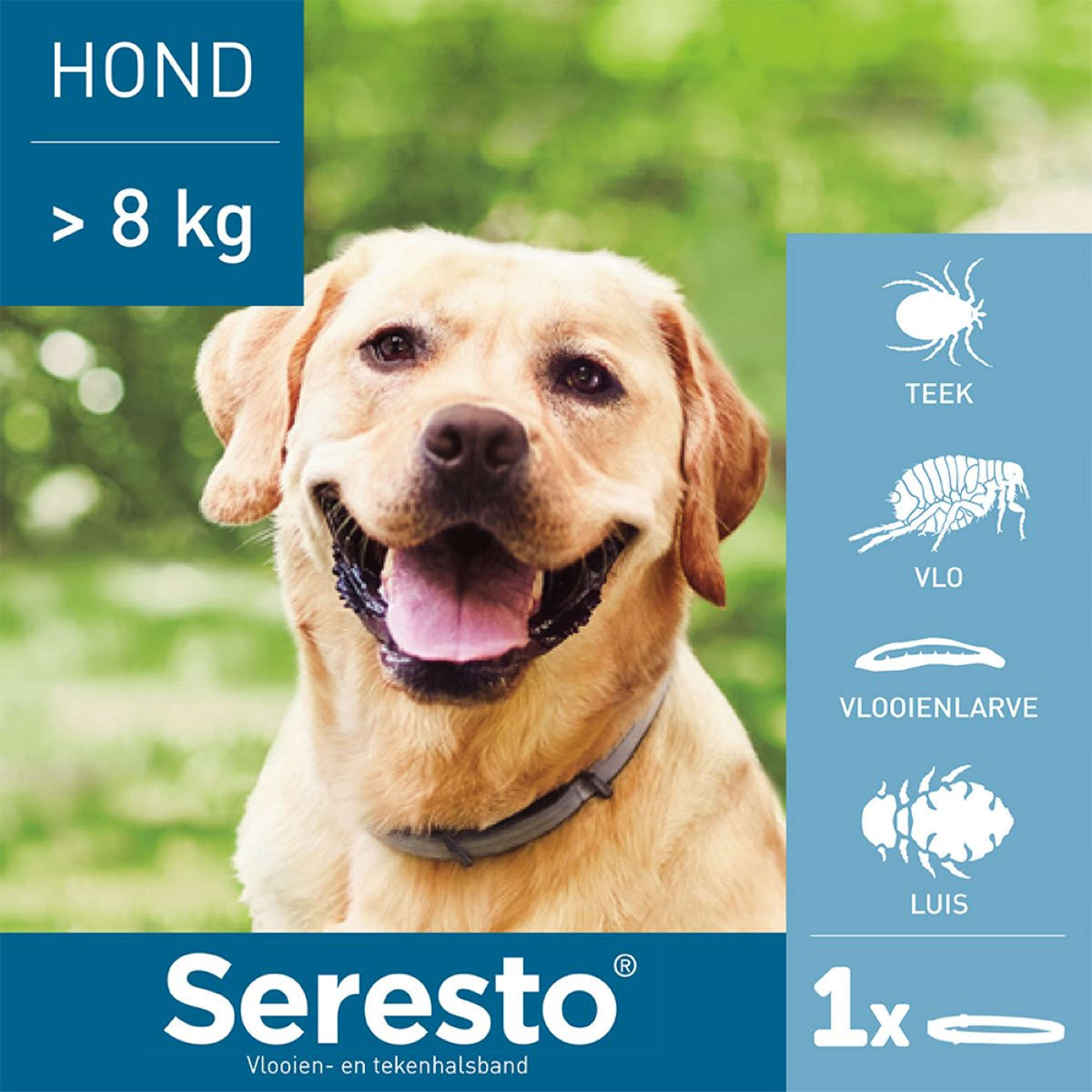 Seresto Zecken & Flohhalsband Großer Hund ab 8kg